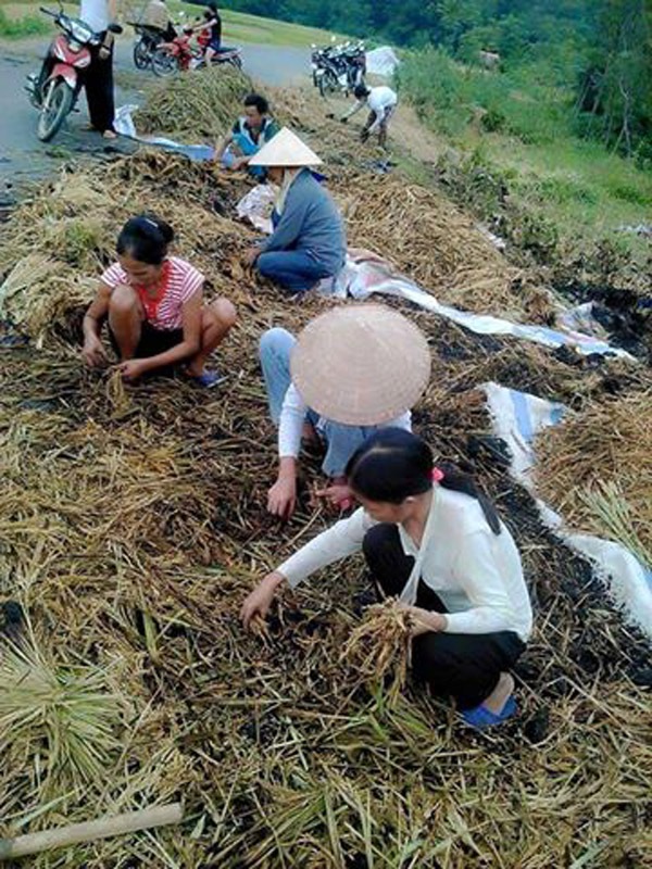 Sao việt nam, sao TVB, Vũ Thu Phương